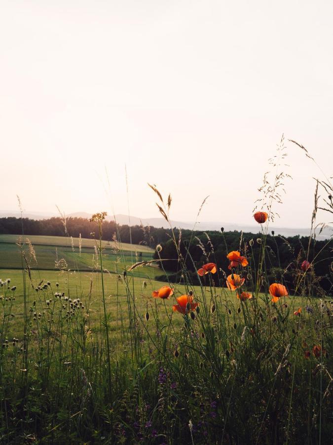 Dein Dornig Hotell Ebensfeld Eksteriør bilde